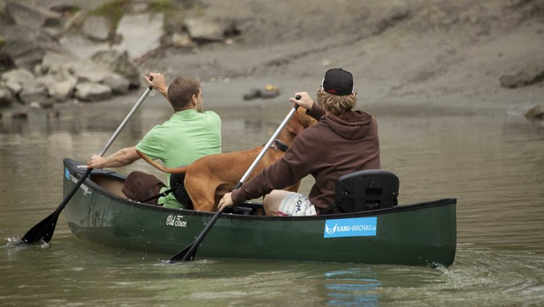 Zwei Personen und ein Hund in einem grünen Kanu auf einem Fluss.