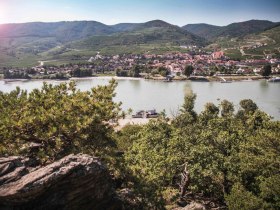 Ausblick aufs n&ouml;rdliche Donauufer, &copy; Daniela Matejschek
