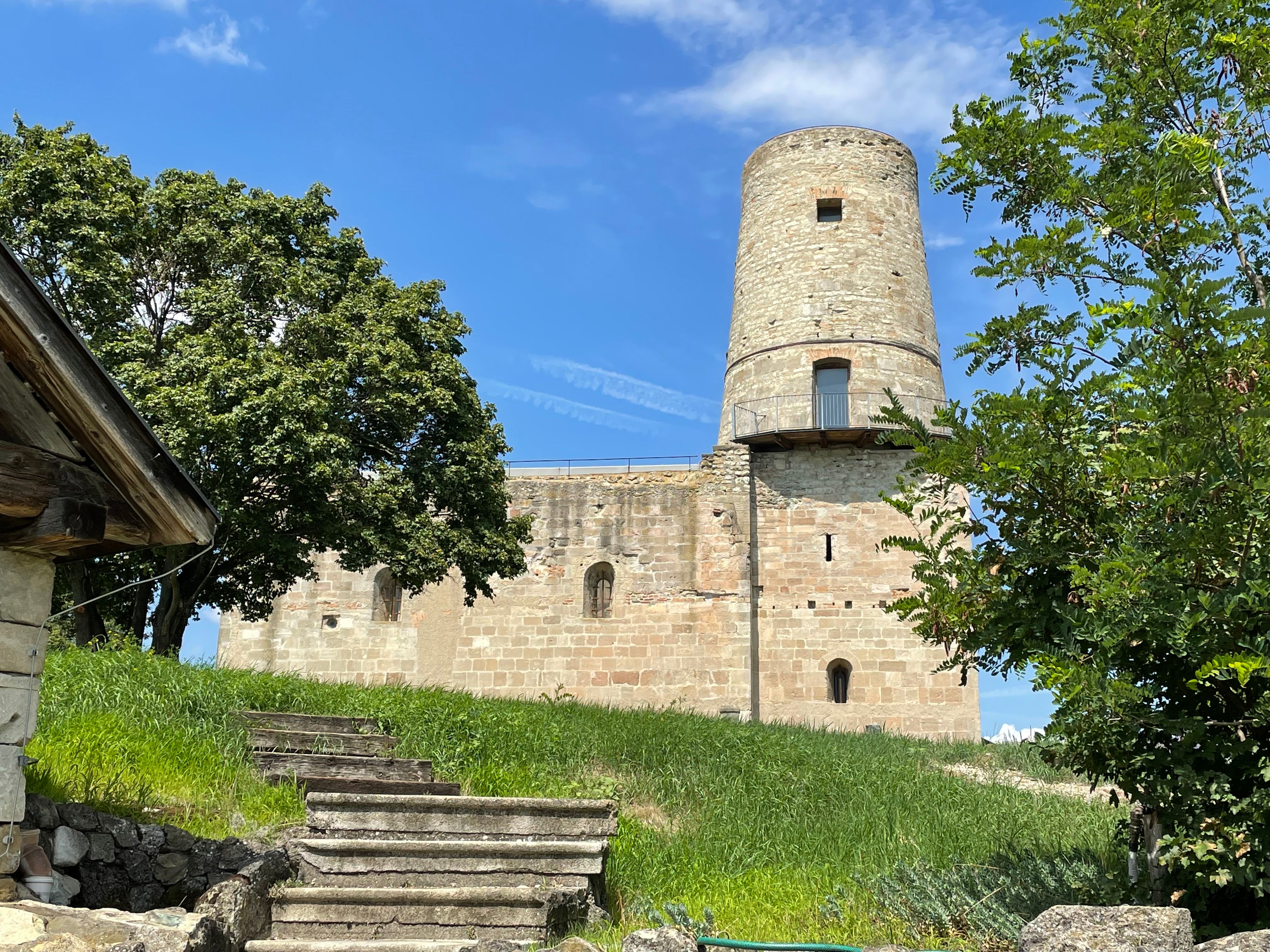 Ruine Markgrafneusiedl mit Turm und Bäumen im Vordergrund.