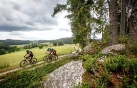 Granittrail, © Waldviertel Tourismus, Erwin Haiden
