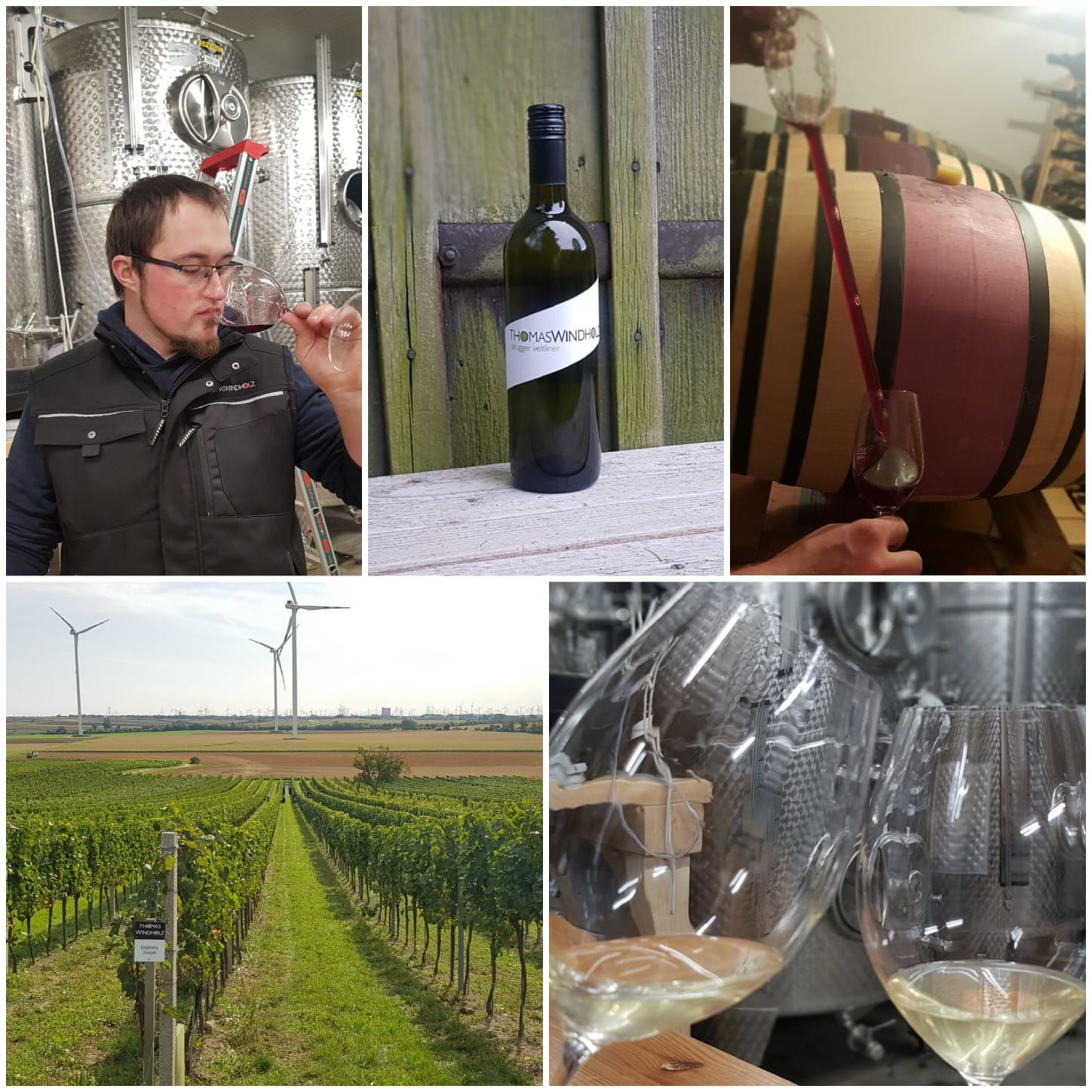 Weinbau Thomas Windholz, Bruck/Leitha