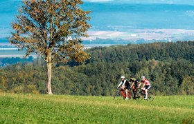 Plambachecker Höhe, © Josef Bollwein