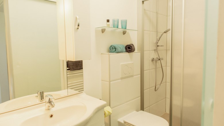 Modernes Badezimmer mit Dusche, Waschbecken und Toilette.