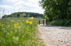 Die sanften Hügel des Wienerwaldes laden zu unvergesslichen Mountainbike-Abenteuern ein. Umgeben von üppigem Grün und blühenden Wildblumen genießen die Radfahrer die frische Sommerluft und die atemberaubenden Ausblicke auf die Landschaft. Hier wird jeder Tritt in die Pedale zu einem Erlebnis der Natur.