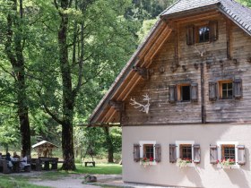 Frieslingalm, &copy; Mostviertel