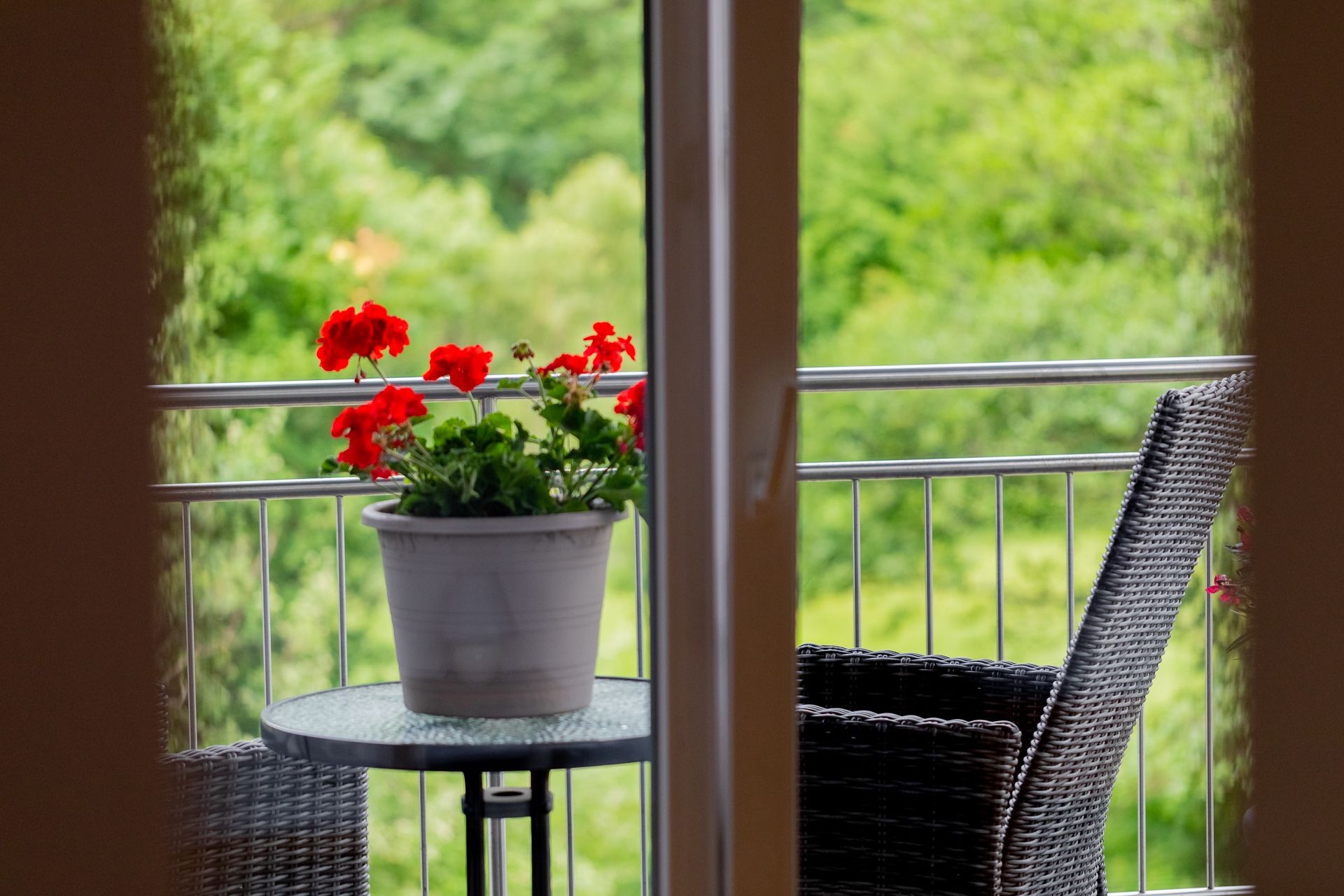 Blick auf einen Balkon mit einem Tisch, einem Blumentopf mit roten Blumen und einem Stuhl, umgeben von grüner Vegetation.