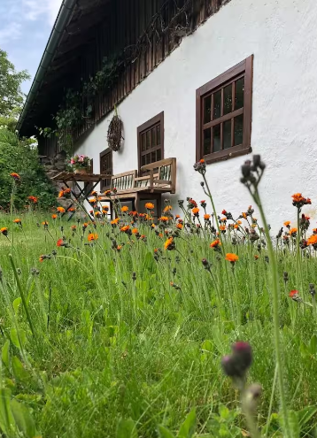 Cottage am Gföhlerwald