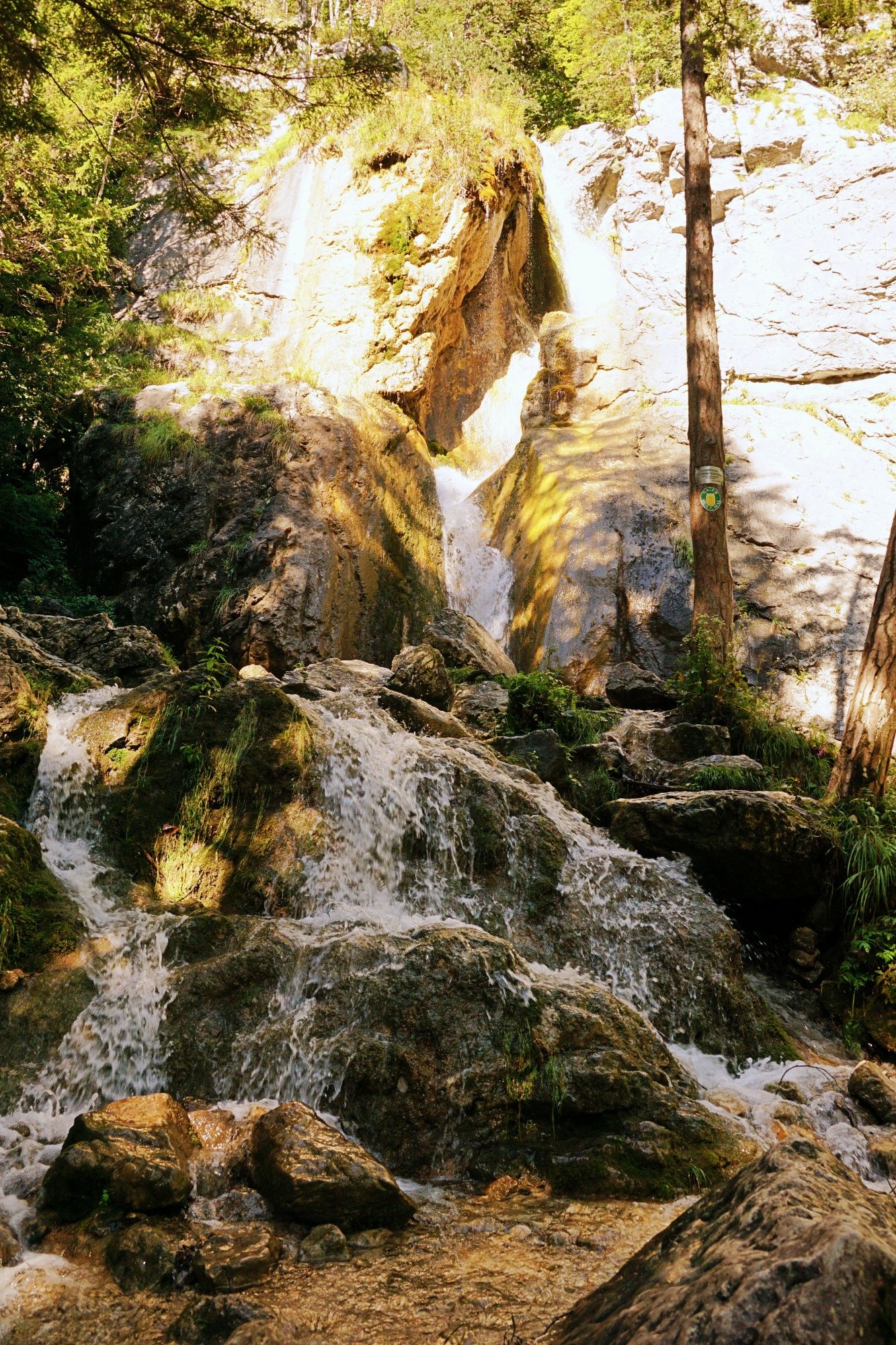 Ein Wasserfall fließt über Felsen in einem bewaldeten Gebiet.