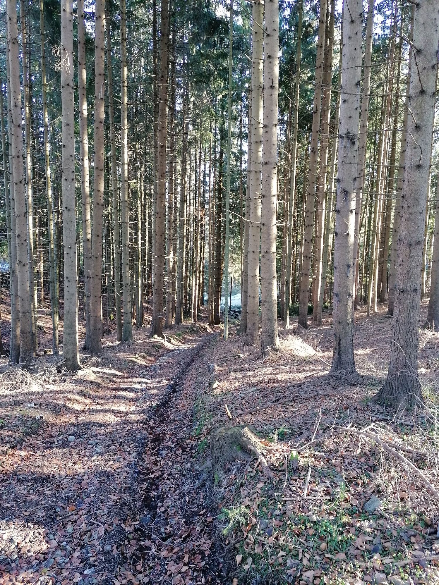 Hohlweg Richtung Paßkapelle