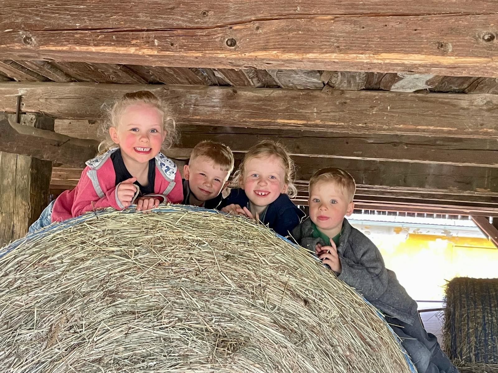 Camping-Finsterhof
