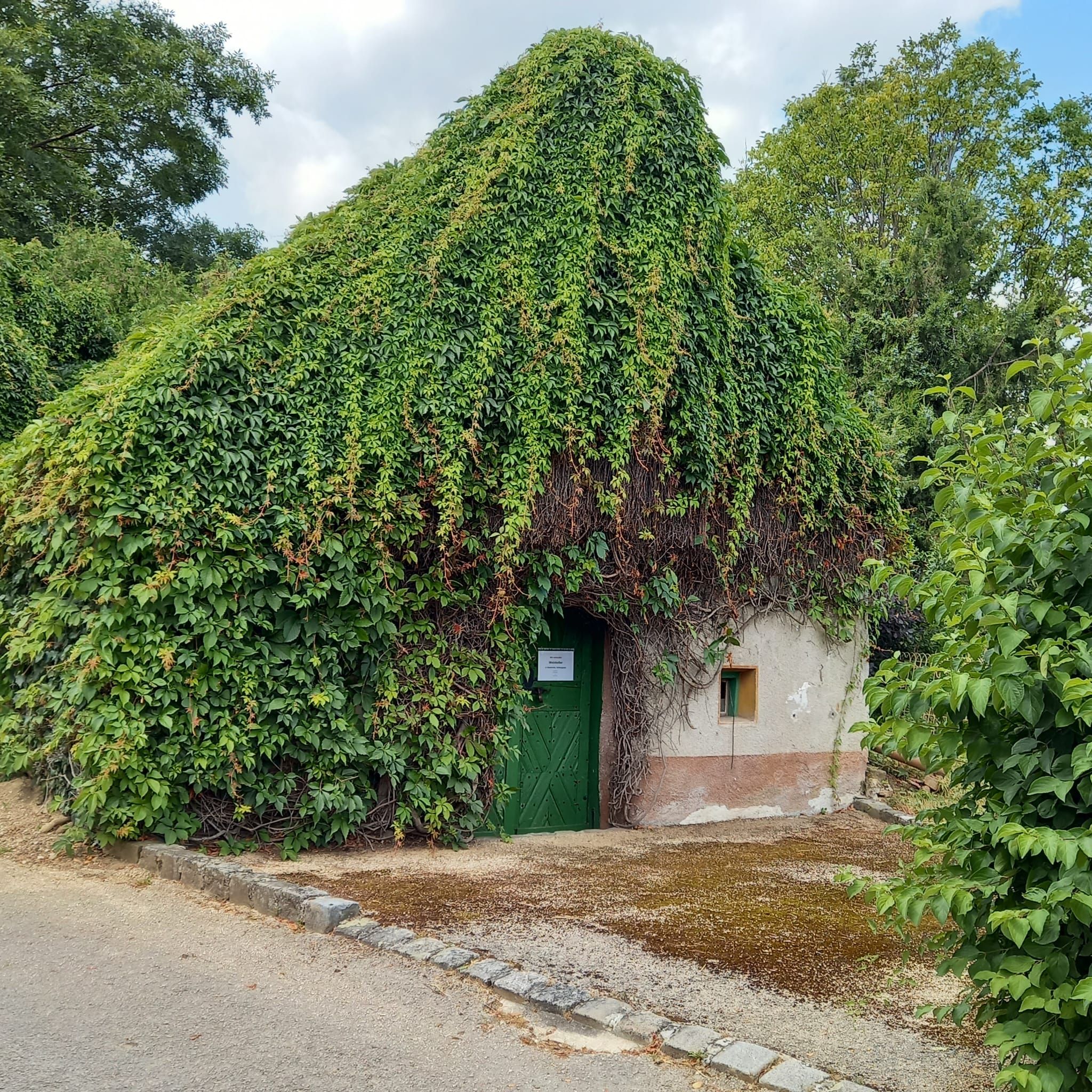 Ein kleines Haus, das vollständig mit Efeu bewachsen ist, mit einer grünen Tür und einem kleinen Fenster.