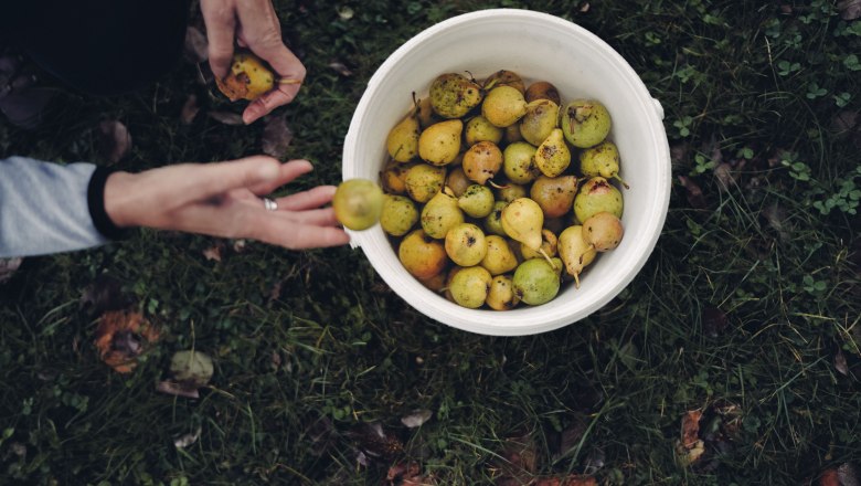 Pihringers Moststub'n, &copy; Moststra&szlig;e, dochbodnliacht