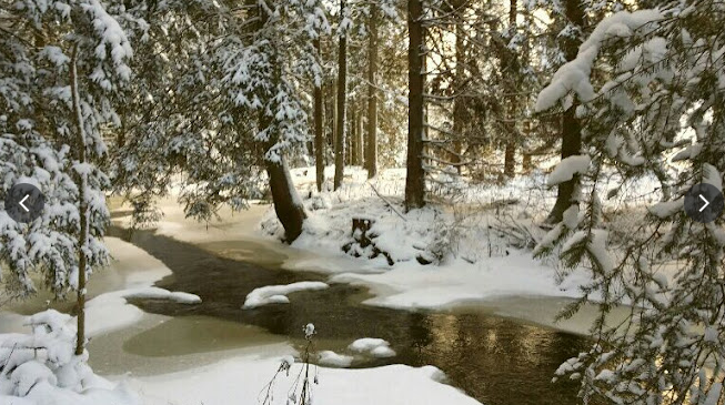 Angeln am Wachtelhof, &copy; Astrid Hanke-Aberer