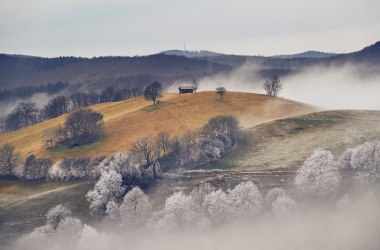 Wienerwald im Winter, © Wienerwald Tourismus/Andreas Hofer