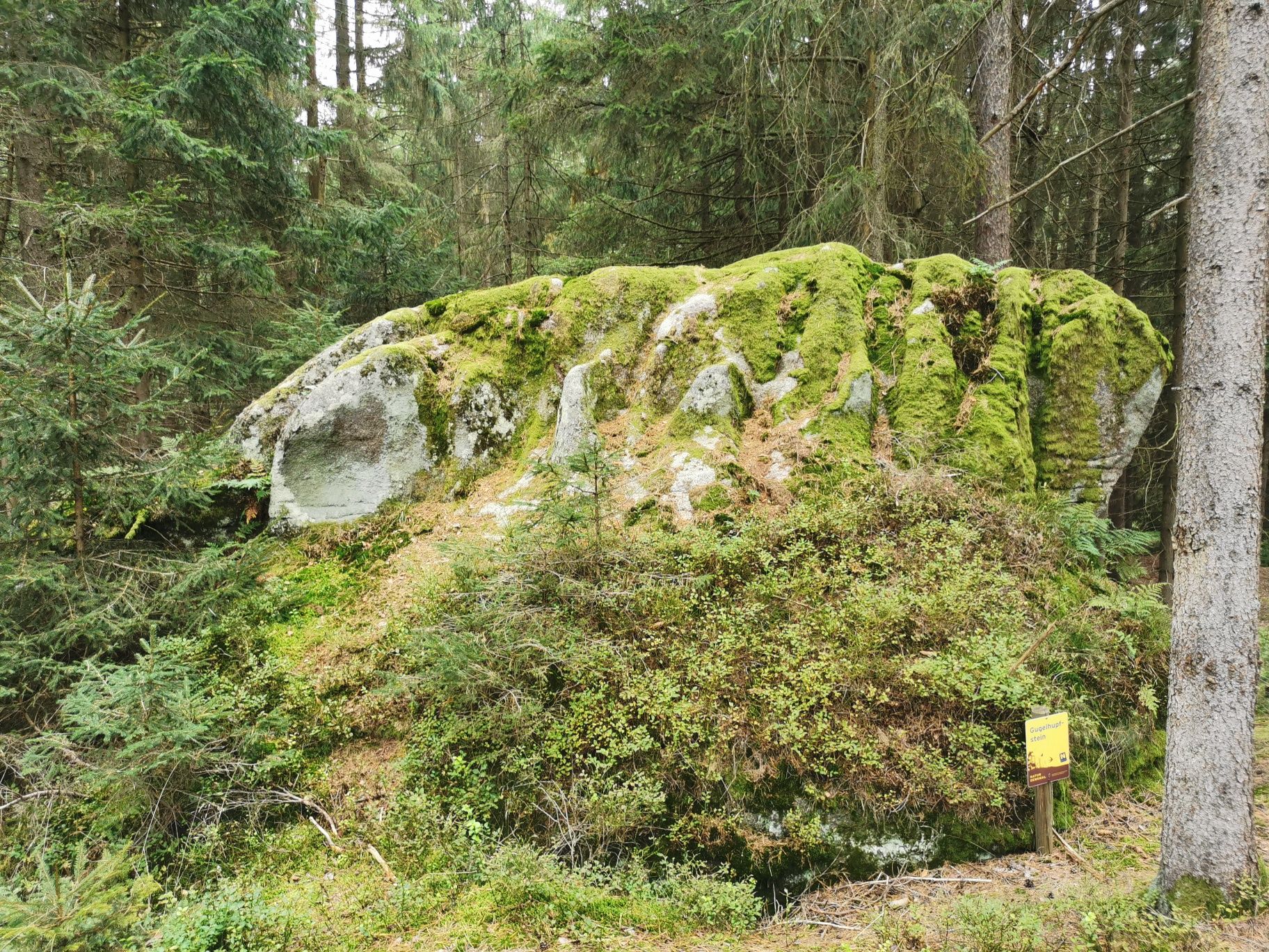 Gugelhupfstein bei Eberweis