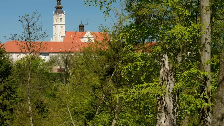 Blick auf ein Klostergebäude mit Turm hinter Bäumen im Stiftswald Altenburg.