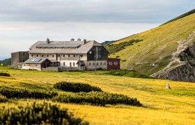 Das Karl-Ludwig-Haus in einer alpinen Landschaft mit gelben Blumenwiesen und bew&ouml;lktem Himmel.