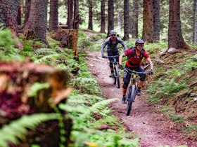 Aspang Route by Wexl Trails #19, &copy; Wexl Trails