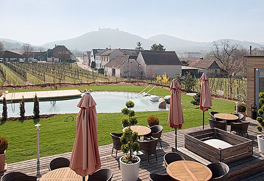 Terrasse mit Pool, Sonnenschirmen und Blick auf Weinberge und Hügel.