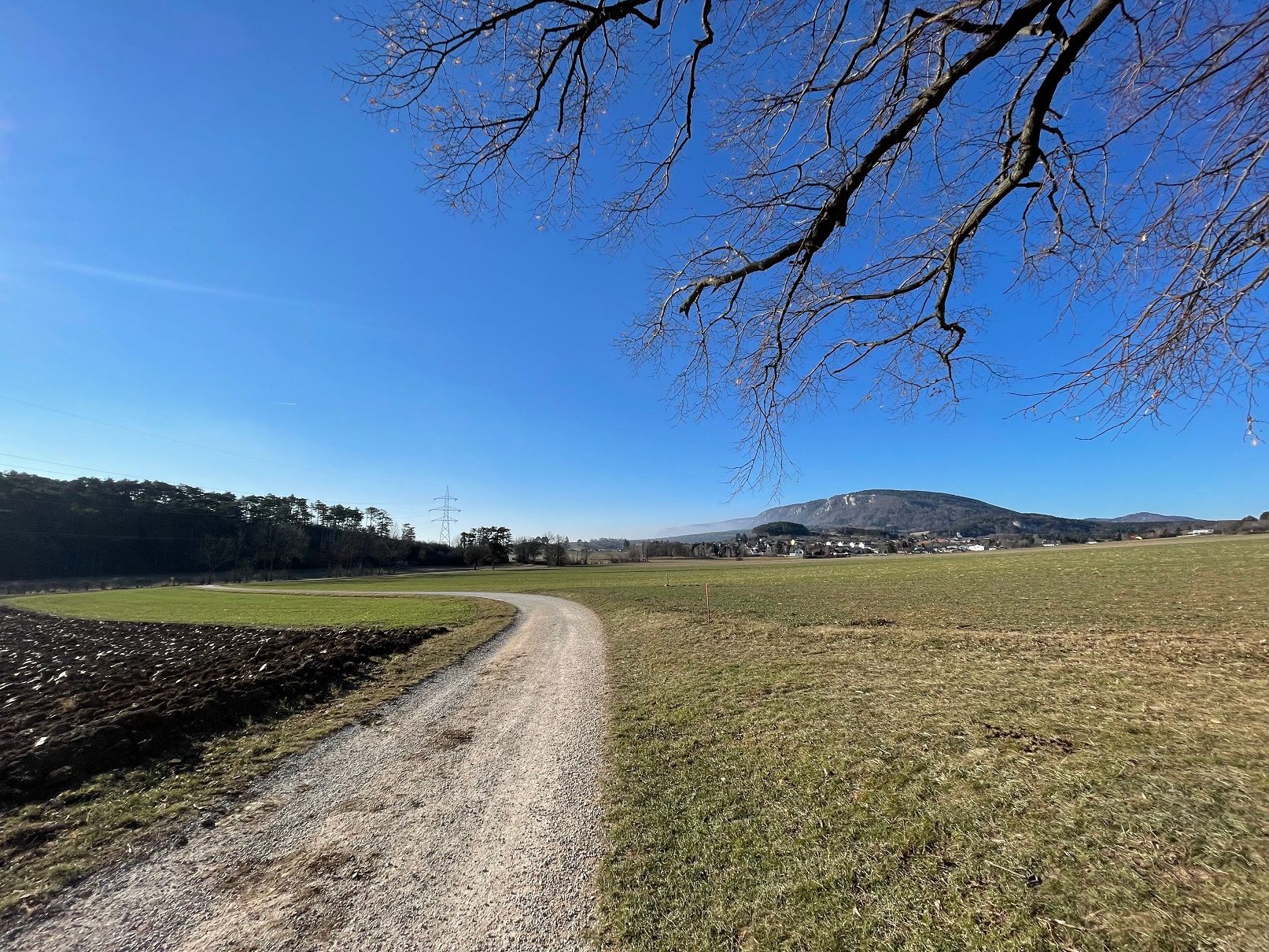 Landschaft mit Feldweg, Wiese und Berg im Hintergrund.