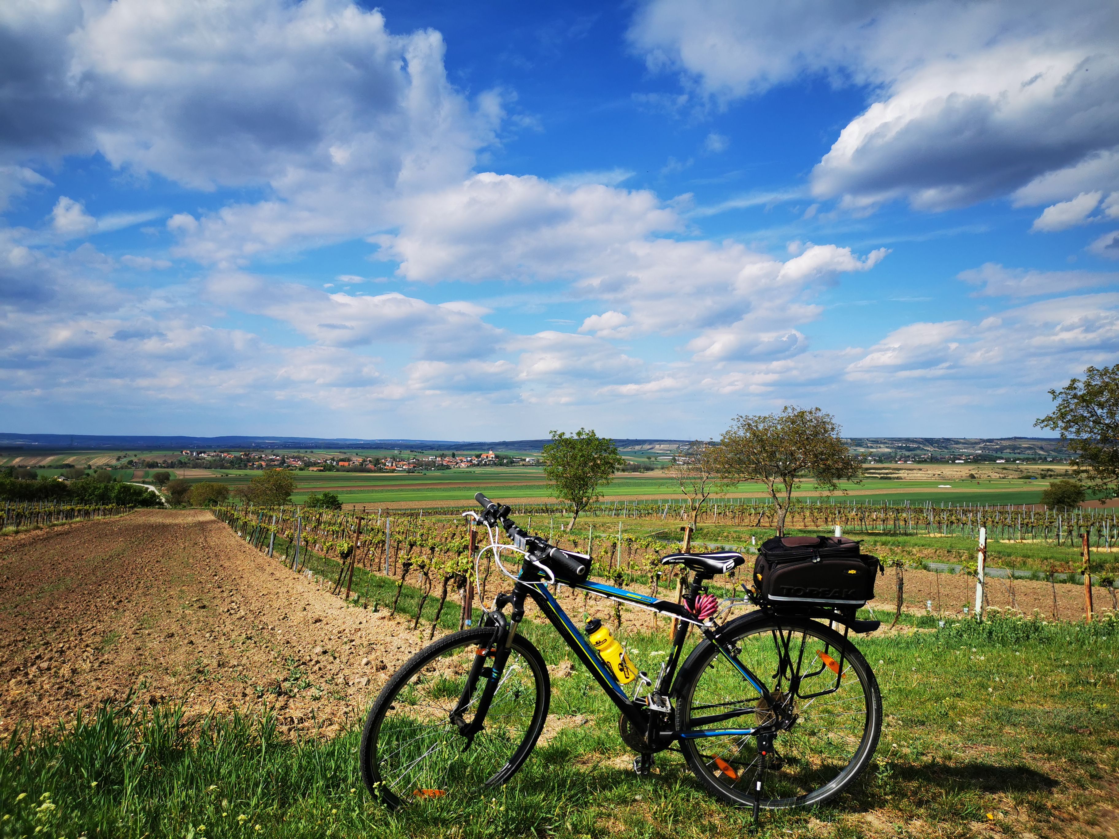 Fahrrad vor einer Landschaft mit Feldern und blauem Himmel.