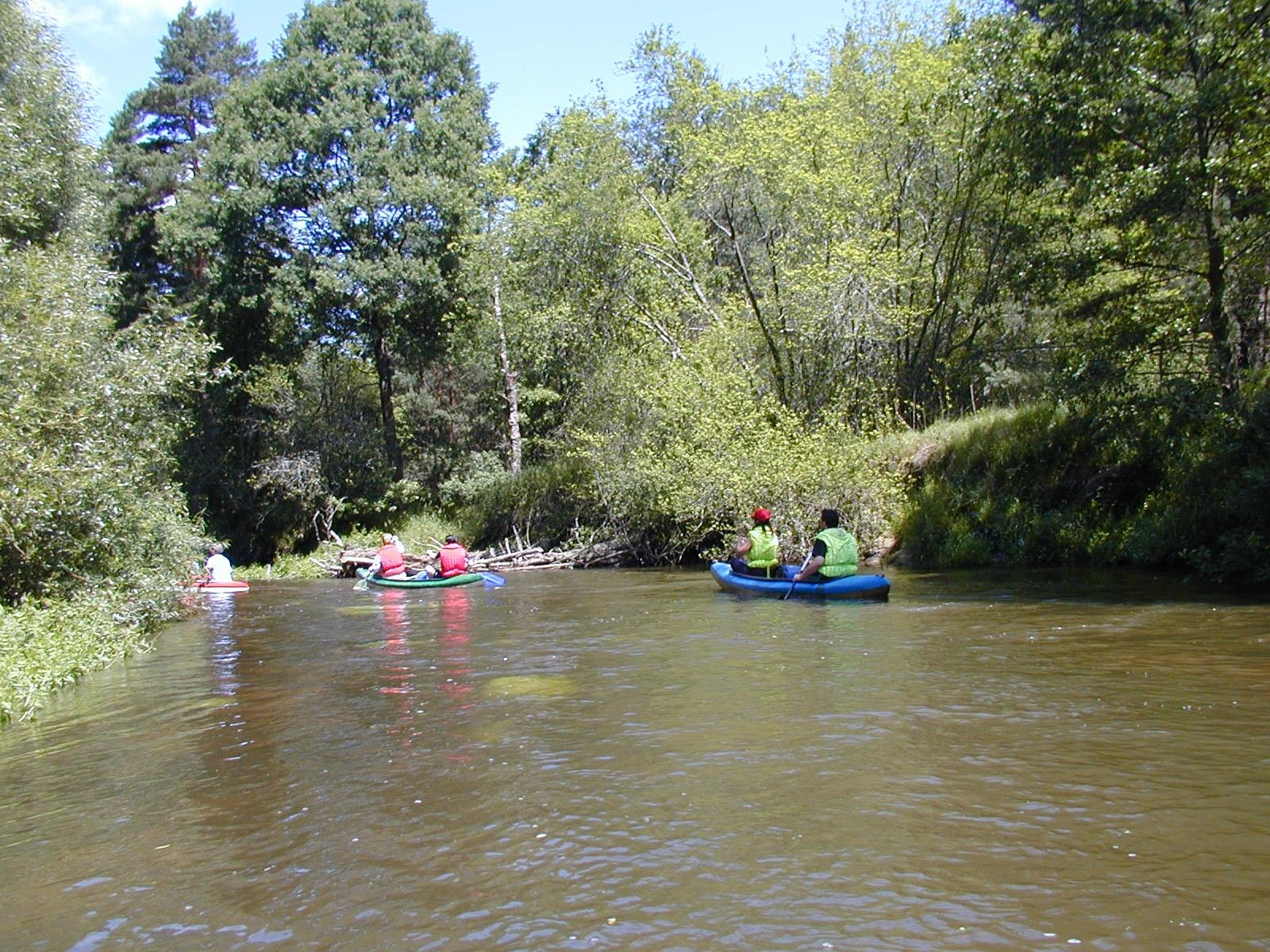 Menschen paddeln in Kanus auf einem Fluss, umgeben von Bäumen.