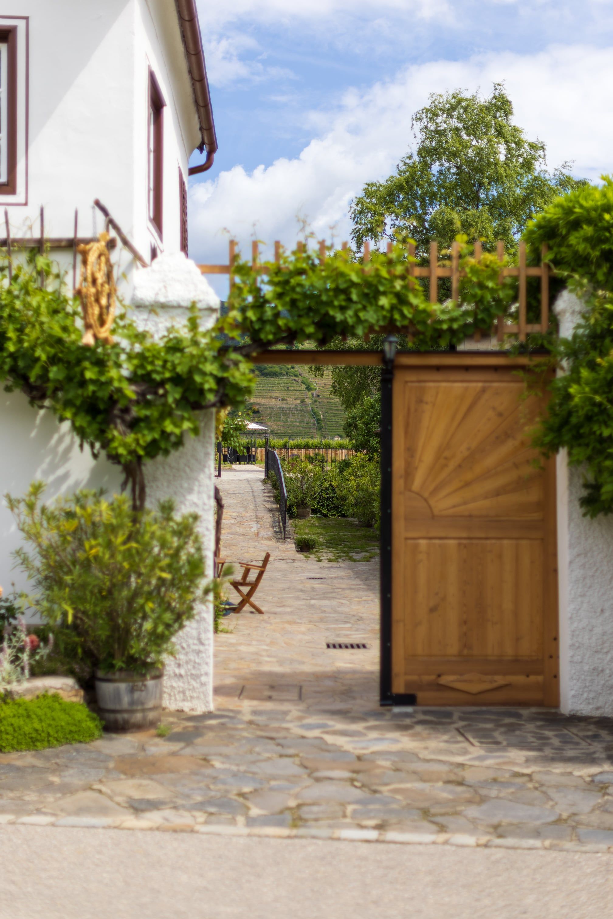 Willkommen beim Weinhauer Brustbauer