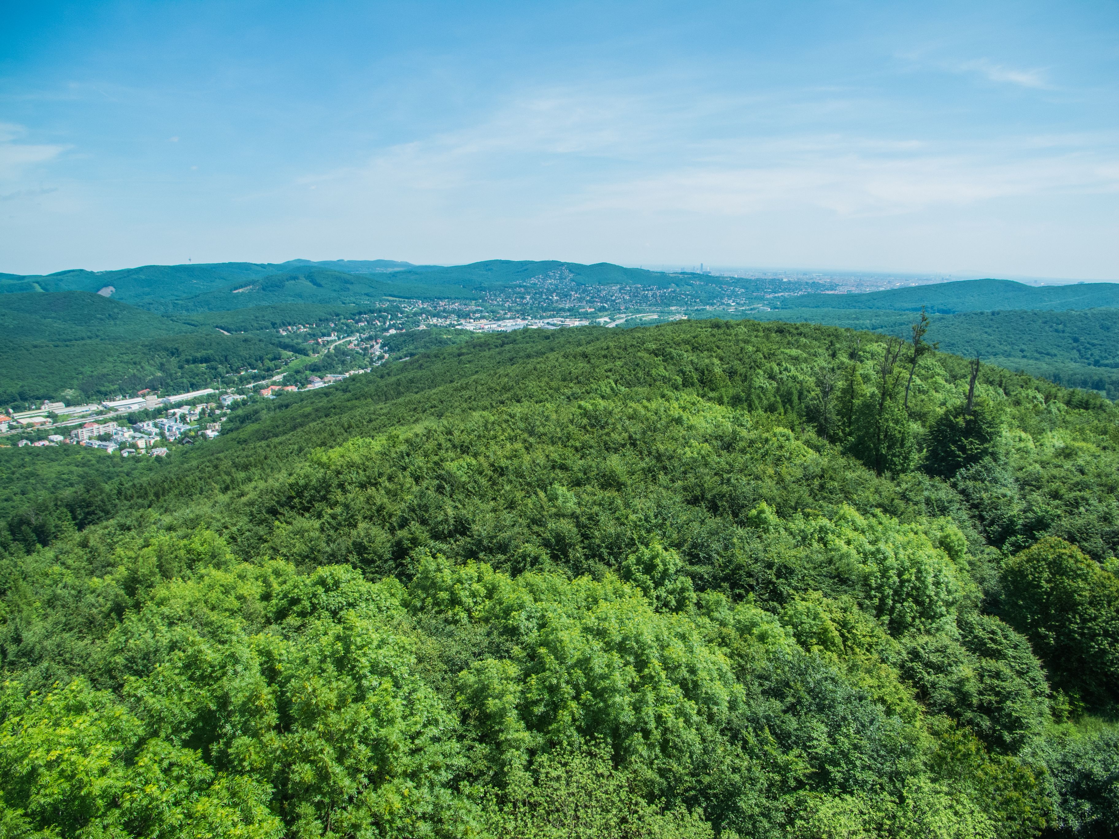 Panoramablick von der Rudolfswarte auf bewaldete Hügel und eine Stadt im Hintergrund.
