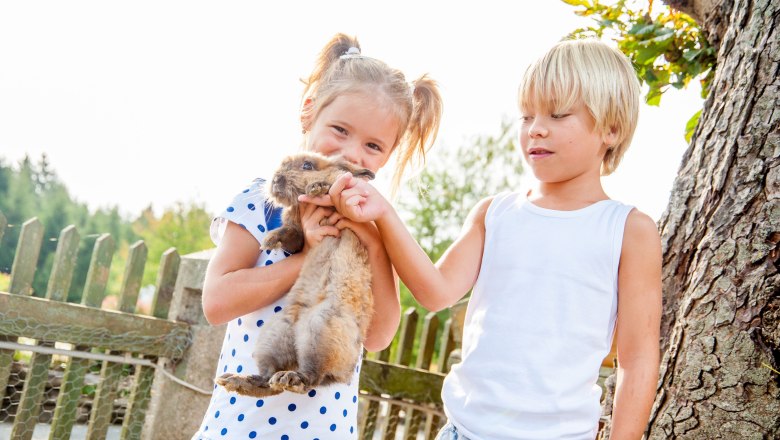 Zwei Kinder halten ein Kaninchen im Freien neben einem Baum.