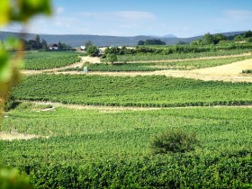 Wandern am 1.Wiener Wasserleitungswanderweg, &copy; Wiener Wasser/Zinner