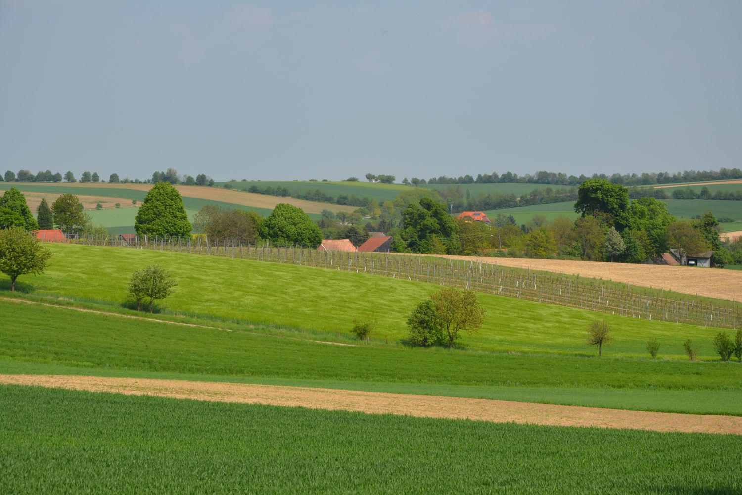 Landschaft mit grünen Feldern und Bäumen in Hochleithen.