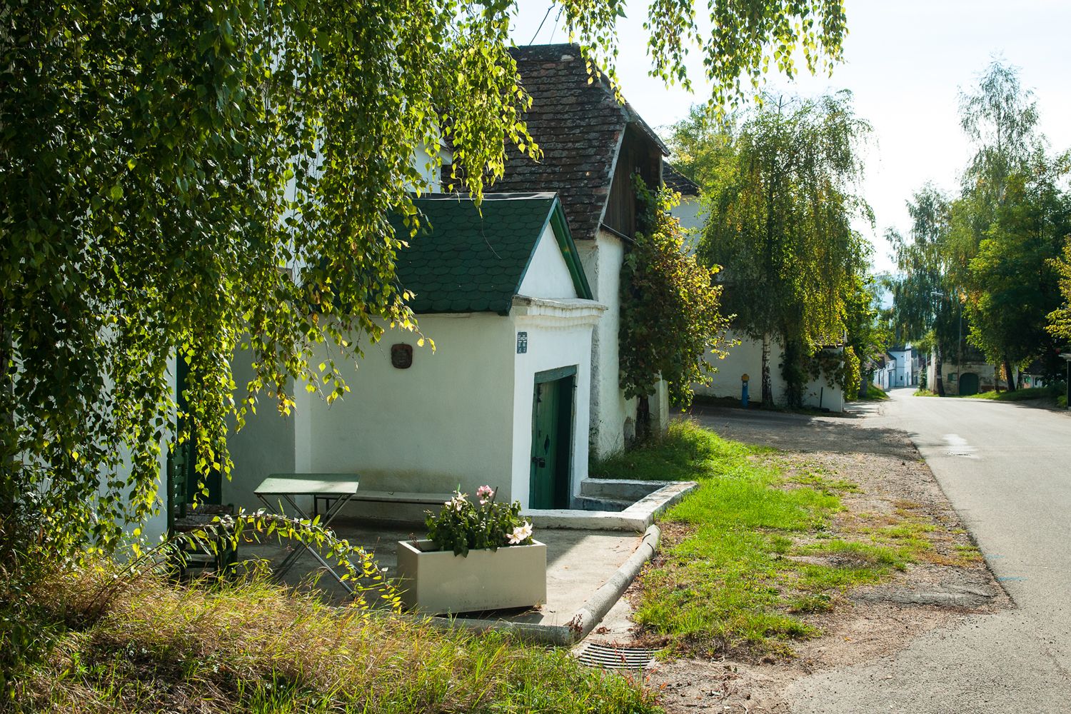 Eine ruhige Kellergasse mit weißen Gebäuden und grünen Türen, umgeben von Bäumen und Pflanzen.