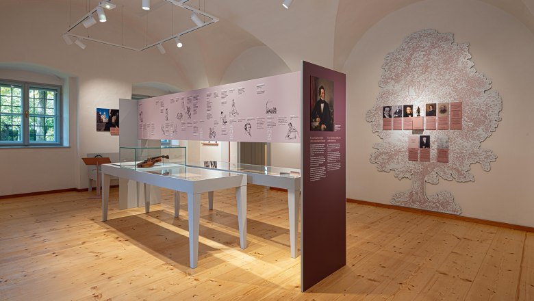 Schubert Schloss Atzenbrugg, &copy; nafezrerhuf