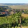 Panorama eines Dorfes mit Feldern und Weinbergen im Vordergrund.