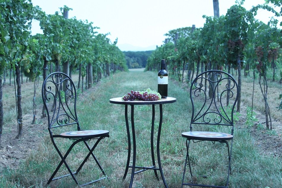 Ein Tisch mit Weinflasche und Trauben zwischen zwei Stühlen in einem Weinberg.