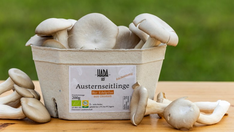 HaDaHof, &copy; Theo Kust