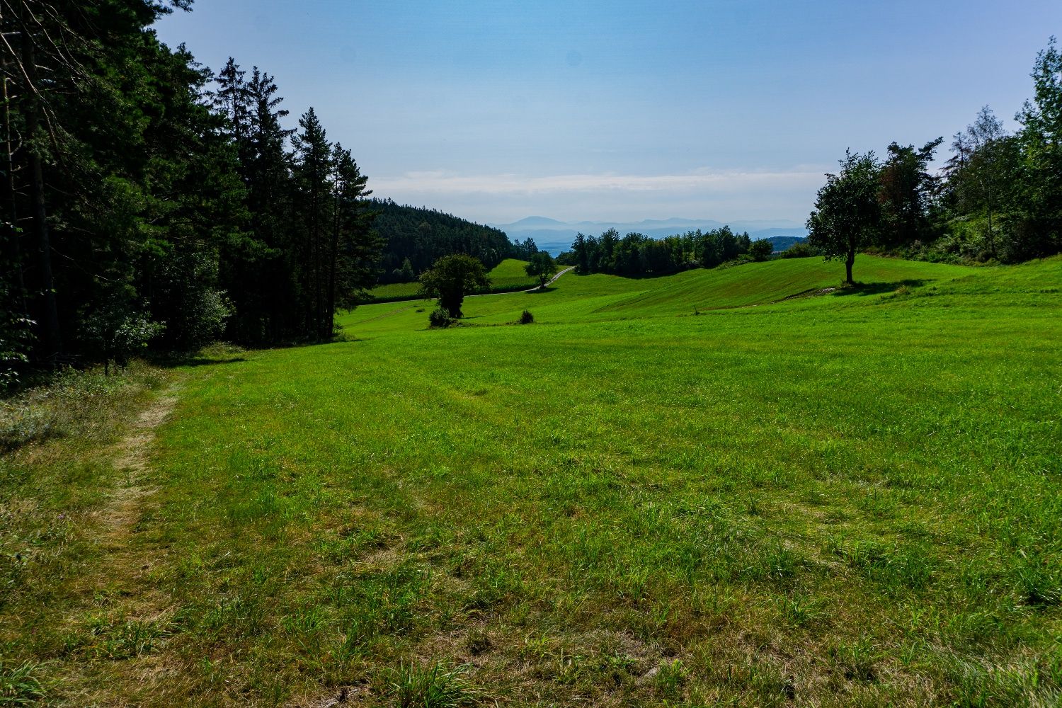 Nach dem Sattel, Blick ins Alpenvorland