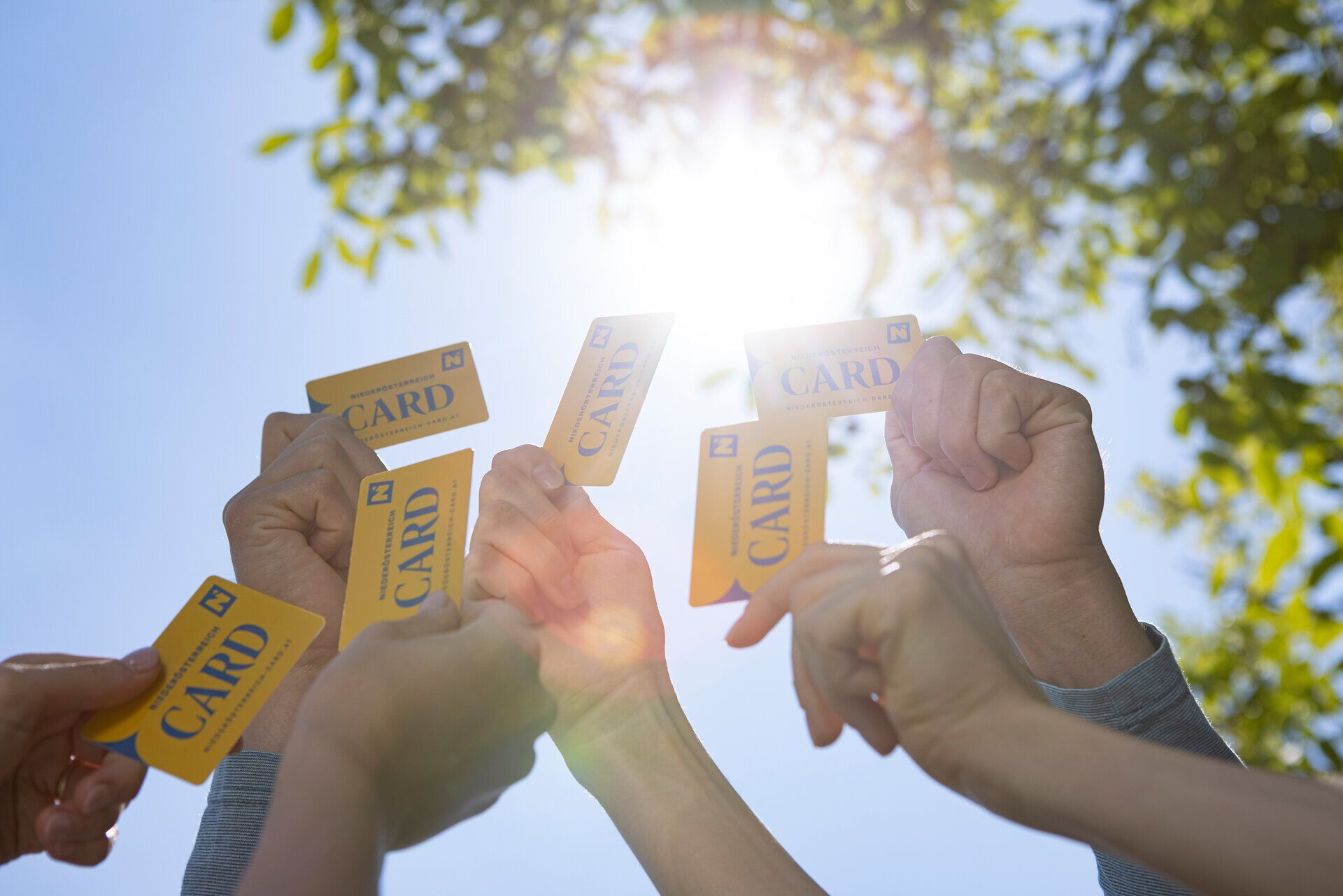 In der warmen Sonne halten begeisterte Besucher ihre Niederösterreich-CARD in die Höhe, während sie die Vorfreude auf unvergessliche Erlebnisse in der Natur genießen. Umgeben von üppigem Grün und strahlendem Licht, symbolisiert dieses Bild die Freude am Entdecken und Erleben der vielfältigen Angebote in der Region.