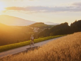 Eine Radfahrerin f&auml;hrt bei Sonnenuntergang auf einer Landstra&szlig;e durch eine h&uuml;gelige Landschaft mit Feldern und W&auml;ldern.