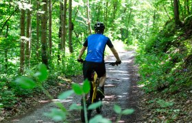 Mountainbiker genießt Ruhe und Stille im Wald, © Donau NÖ Tourismus/Barbara Elser