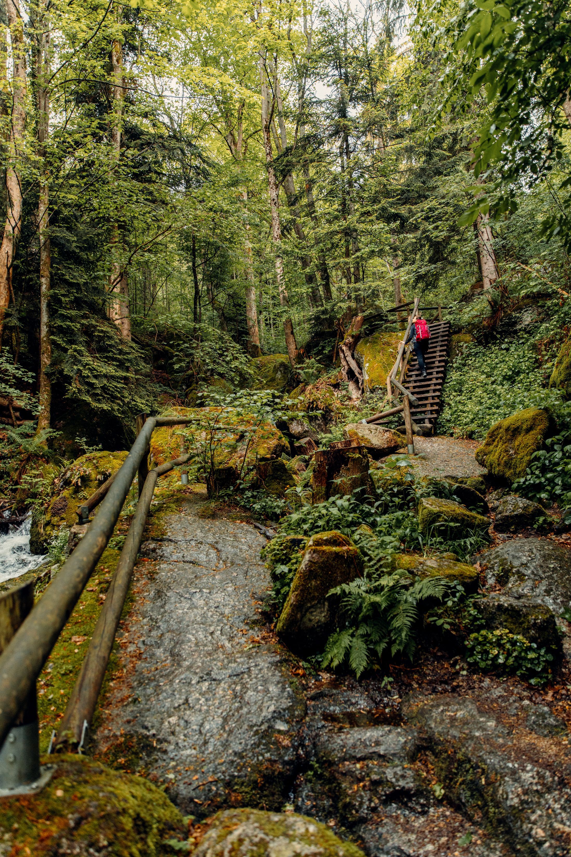 Ein Mann in gelber Jacke steht vor einem kleinen Wasserfall im Wald.