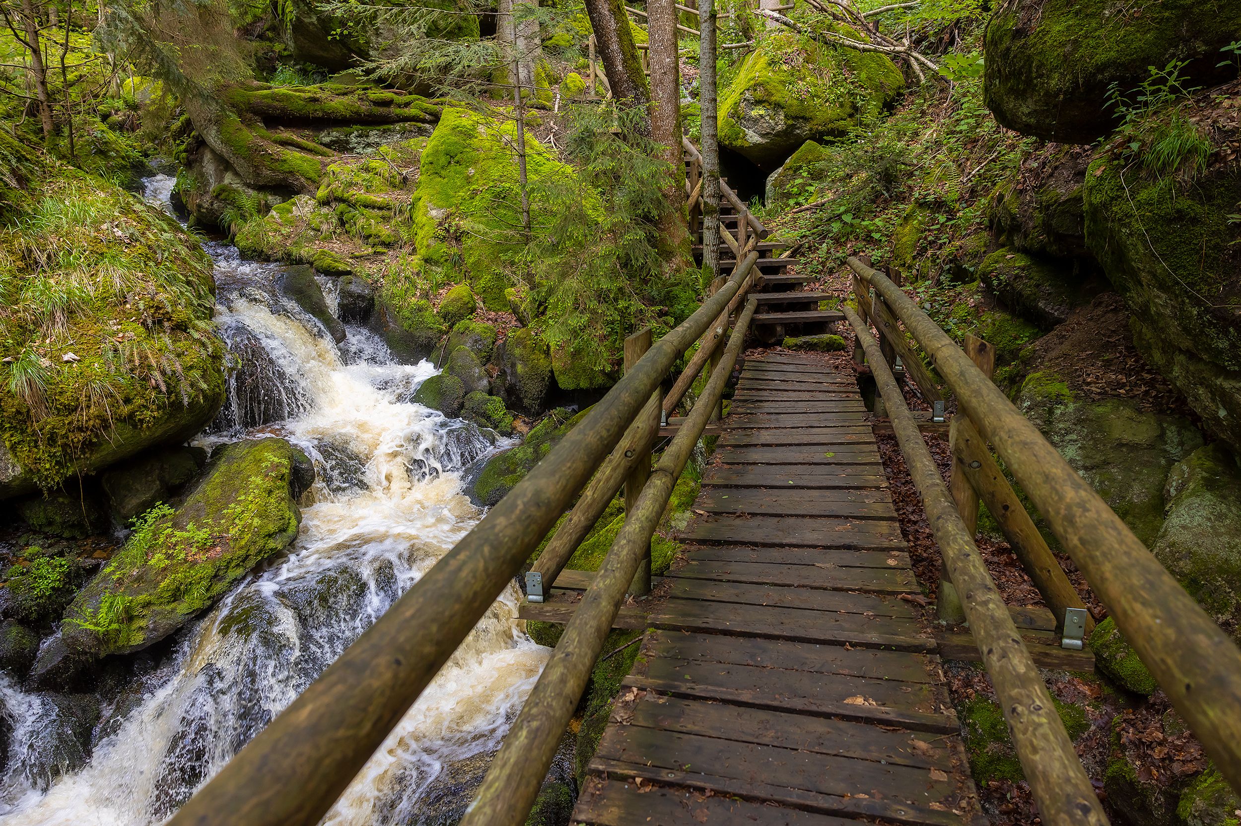 Holzsteg in der Ysperklamm neben einem kleinen Wasserfall, umgeben von moosbedeckten Felsen und Bäumen.