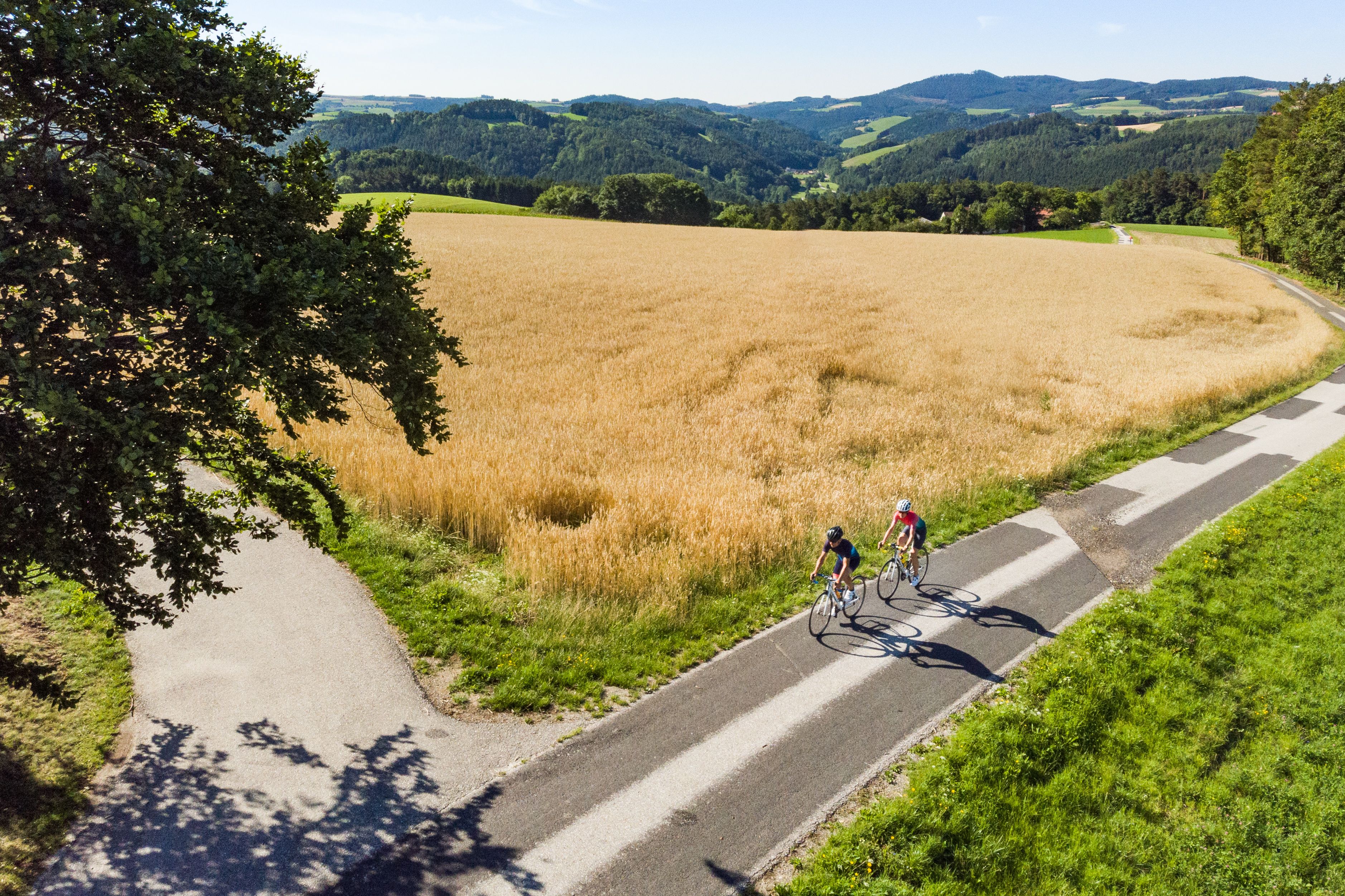 Luftaufnahme von zwei Personen am Rennrad neben einem Feld, im Hintergrund Hügel