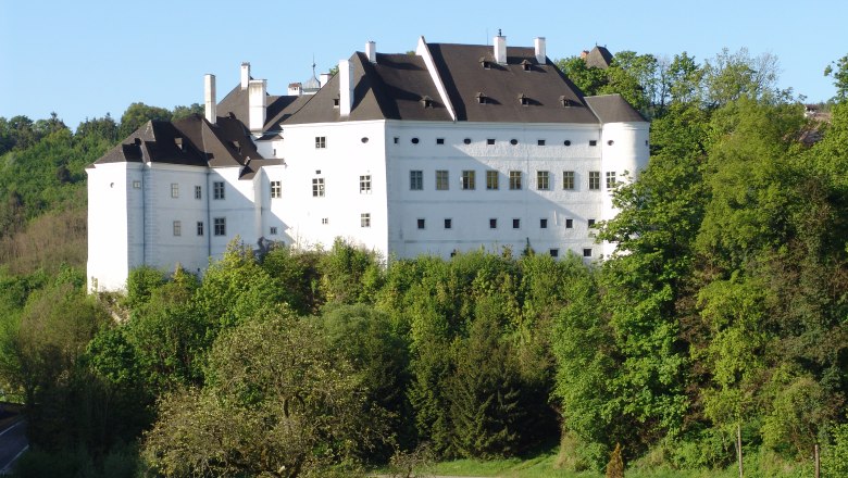 Europaschloss Leiben, ein weißes Schloss umgeben von Bäumen und Natur.