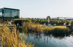 Außenbereich des LOISIUM Wine & Spa Resort Langenlois im Kamptal mit Naturbadeteich, Relaxliegen und Blick auf die umliegenden Weingärten.