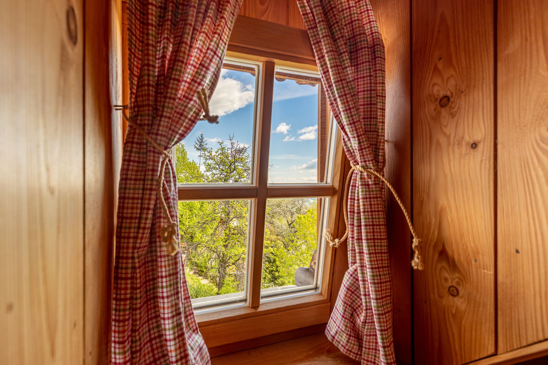 Ausblick aus Holzfenster mit rotem Vorhang auf Bäume unter blauem Himmel.