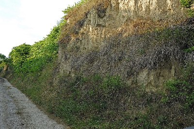 preview_wag_hammergraben_cjosefstefan_281c1c1197, © josefstefan