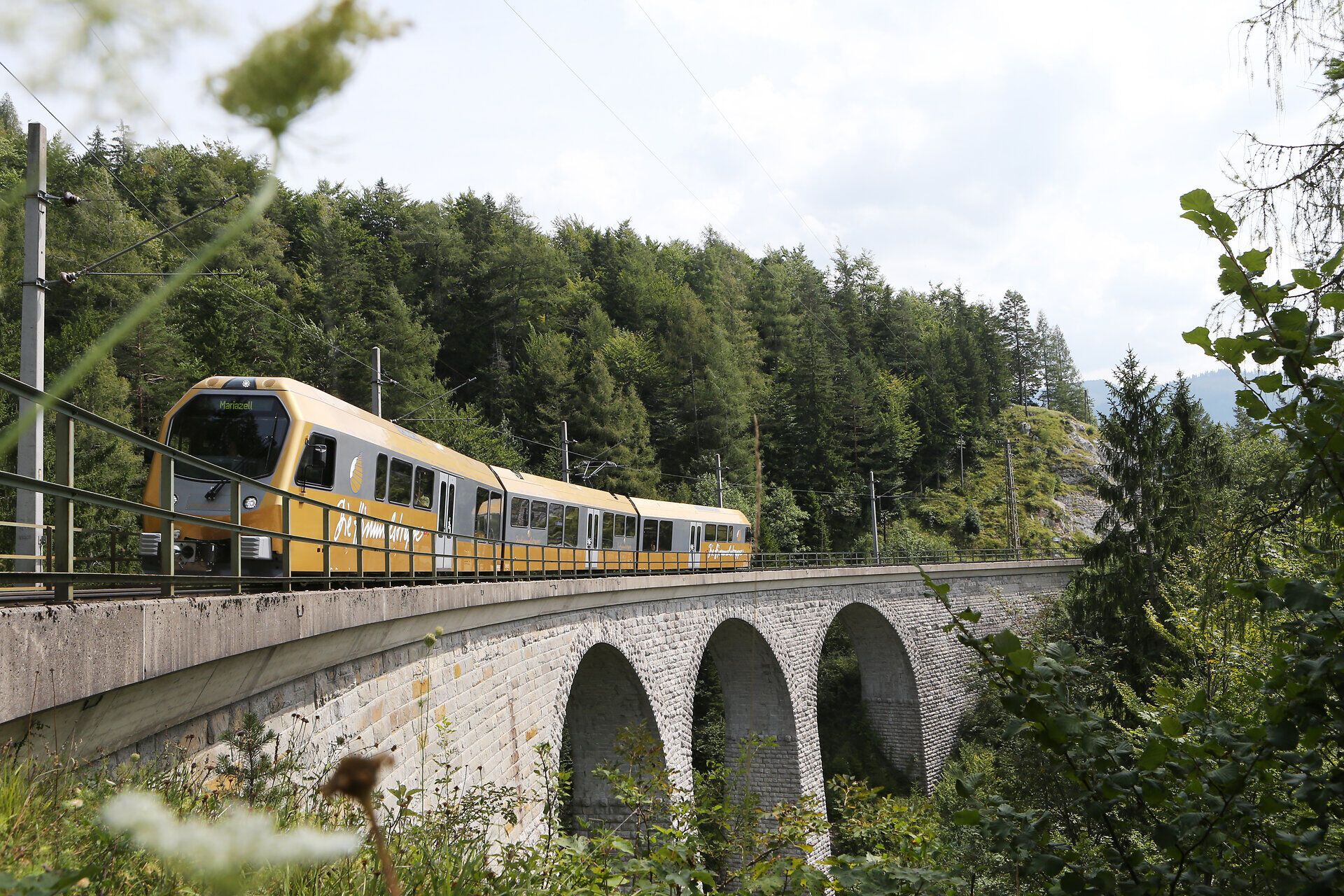 Die Mariazellerbahn schlängelt sich majestätisch über die beeindruckenden Steinbögen, umgeben von üppigem Grün und majestätischen Bergen. Hier, im Herzen des Naturparks, erleben Besucher die perfekte Symbiose aus Technik und Natur, während die sanften Klänge der Landschaft zur Ruhe einladen.