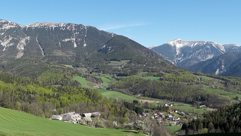 Panorama einer gr&uuml;nen Landschaft mit Bergen im Hintergrund.