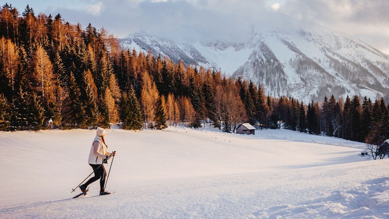 Nestelberg 17, &copy; Sabine Wieser